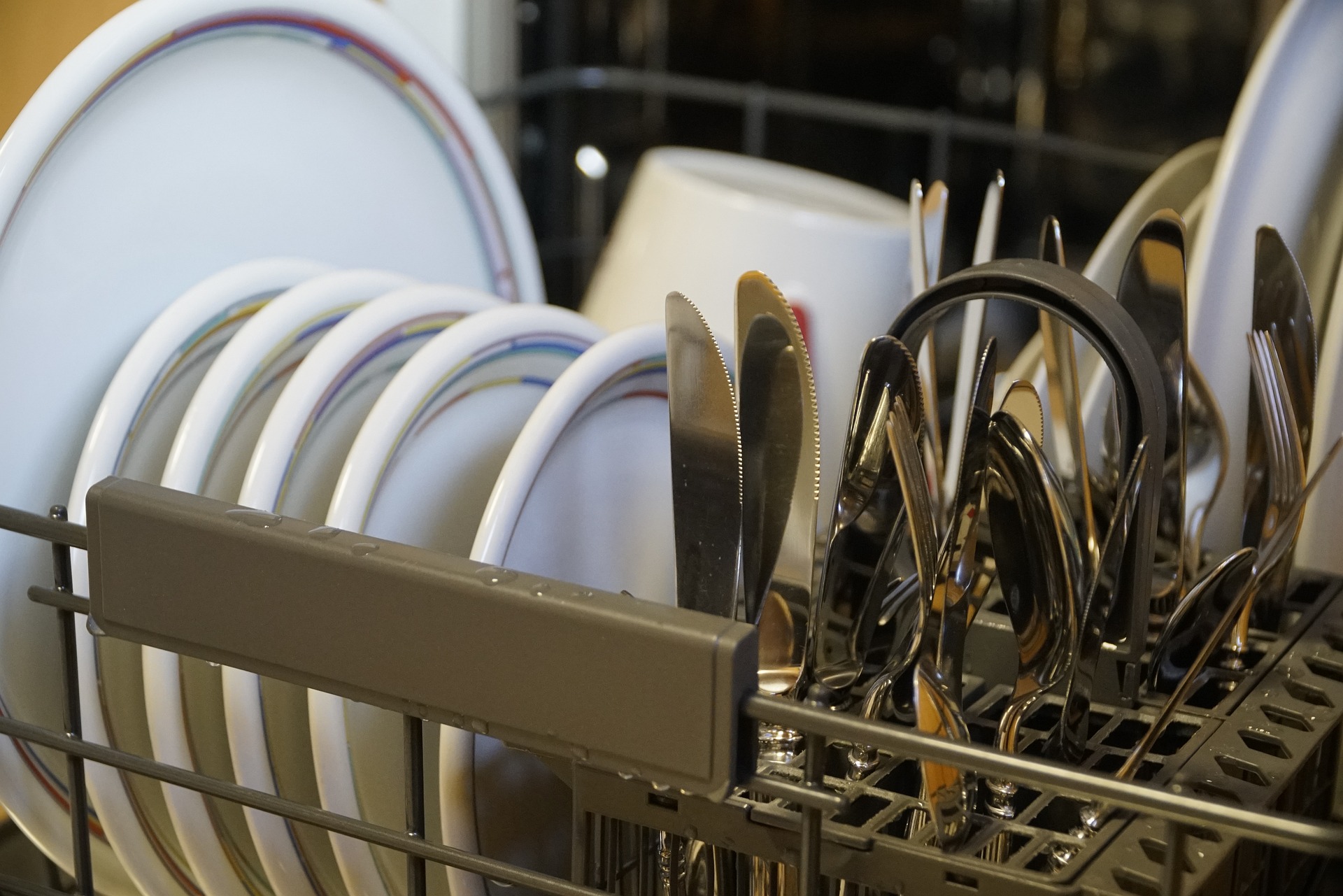 8 Reasons Your Dishwasher is Leaking